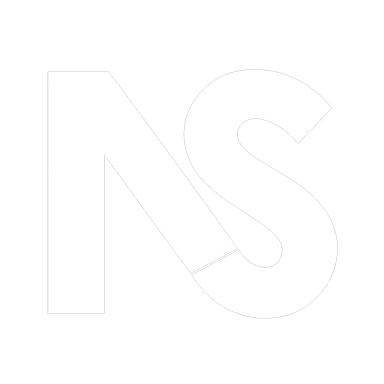 NepSoft logo