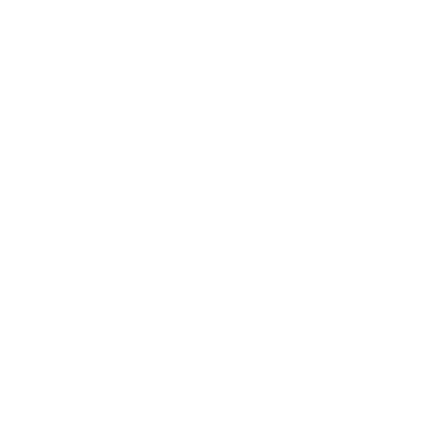 NepSoft logo